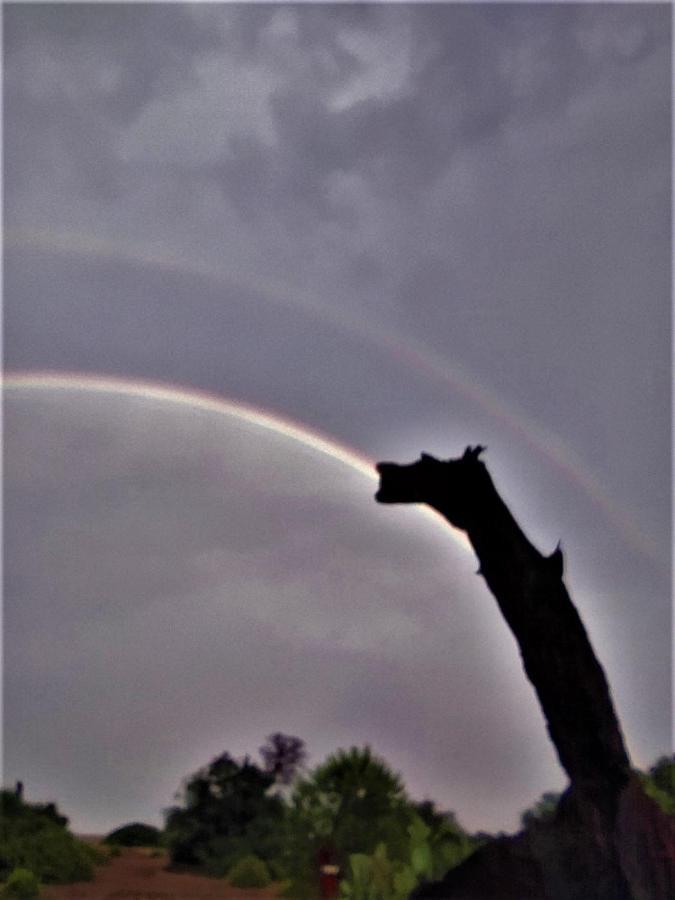 Chimera Pia Aparts Çıralı Exteriör bild